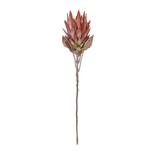 29.25" Red Protea Flower Stems, 2ct.